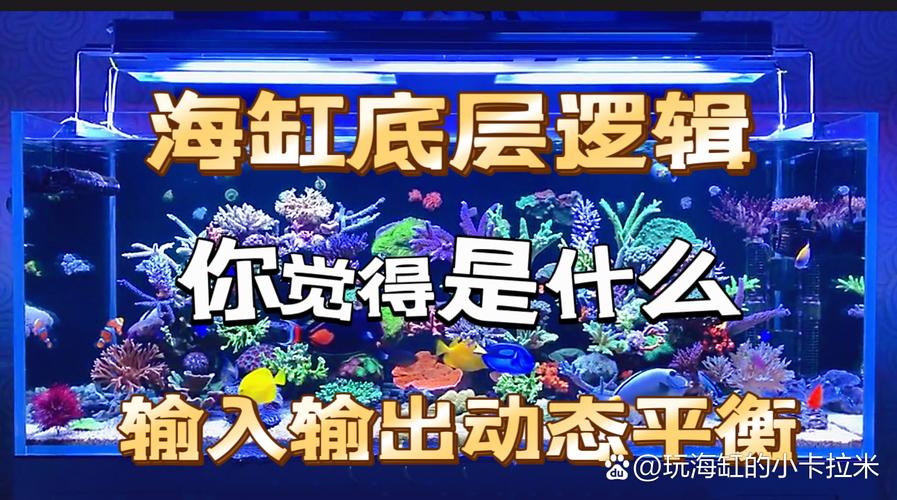 admin 第77页